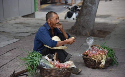 超市什么菜便宜