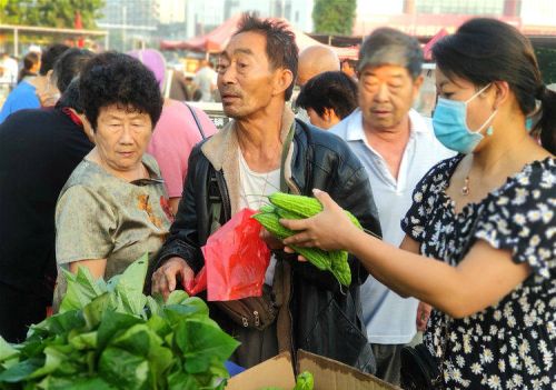 超市什么菜便宜