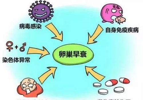 不懂就问，人还年轻，闭经了怎么办？