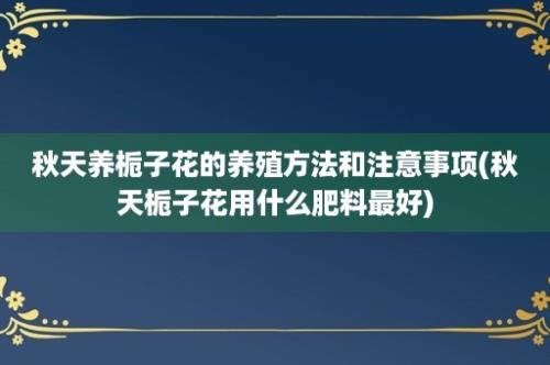 秋天养栀子花的养殖方法和注意事项(秋天栀子花用什么肥料最好)