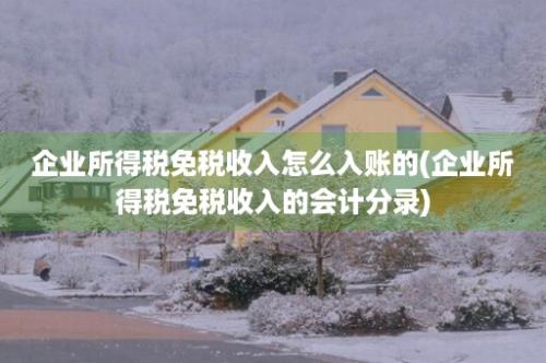 企业所得税免税收入怎么入账的(企业所得税免税收入的会计分录)