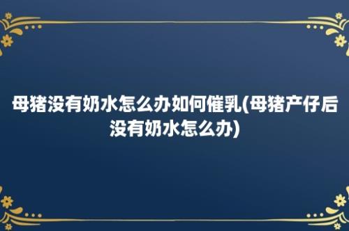 母猪没有奶水怎么办如何催乳(母猪产仔后没有奶水怎么办)