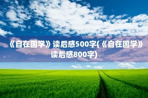 《自在国学》读后感500字(《自在国学》读后感800字)