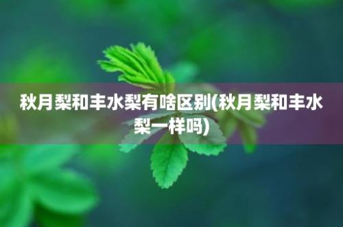 秋月梨和丰水梨有啥区别(秋月梨和丰水梨一样吗)