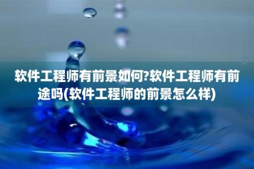 软件工程师有前景如何?软件工程师有前途吗(软件工程师的前景怎么样)