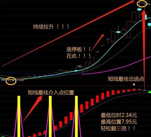 散户应该如何炒股？