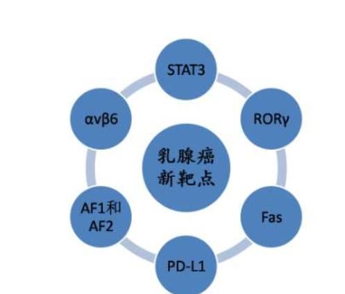 乳腺癌真的不能治吗？