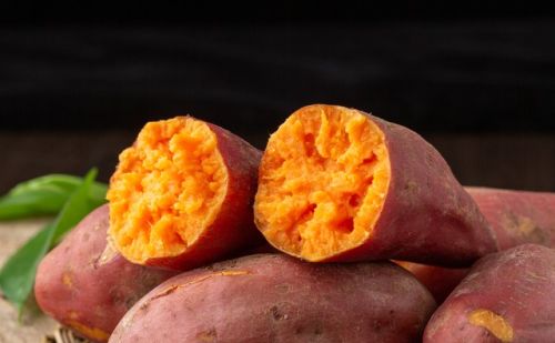 红薯丰产有妙招！三种扦插技巧早知道，成活率高又增产