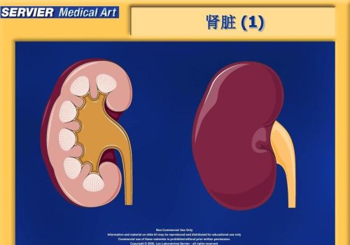 6味地黄丸壮阳