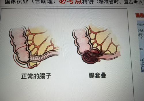 学临床医学是好的选择吗？