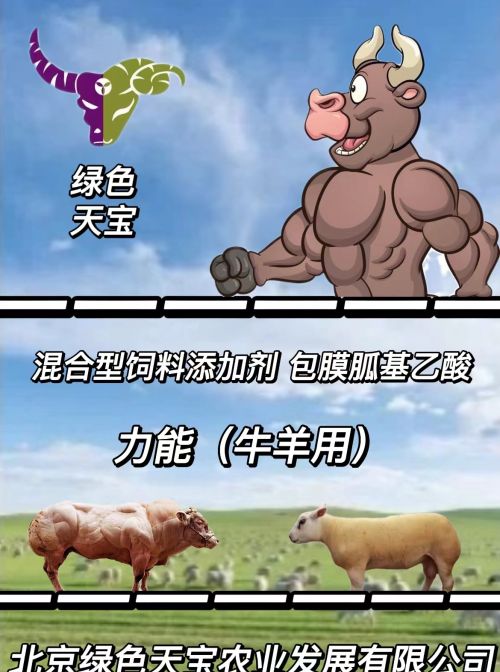 牛羊吃什么长的快又肥？