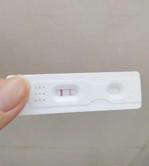 胎停后该怎么备孕？