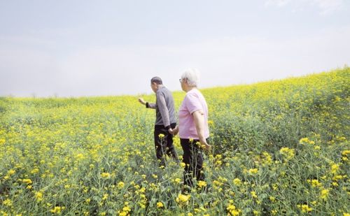 有些人退休半年后才发现：没人理自己了。你怎么看？