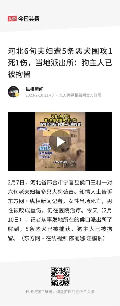 现在的狗都吃狗粮或给肉吃，为什么六七十年代却不喂狗？