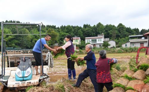 为什么相比较于我国其他地区，四川盆地内的人的平均身高比较矮？