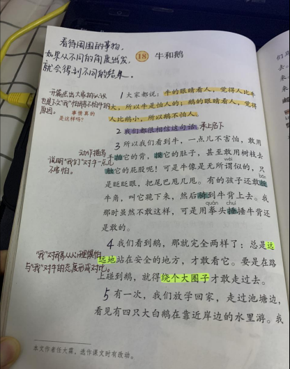 四年级课文《牛和鹅》，小学生不知道重点？橙子老师笔记来帮忙