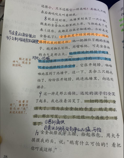 四年级课文《牛和鹅》，小学生不知道重点？橙子老师笔记来帮忙