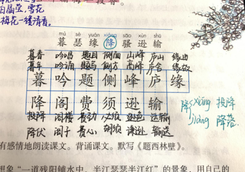 小学四年级学习不用愁，看语文老师课文笔记，高效学古诗