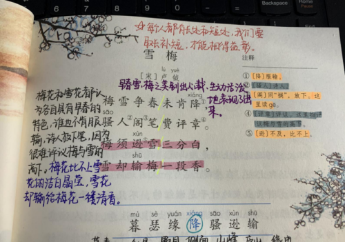 小学四年级学习不用愁，看语文老师课文笔记，高效学古诗