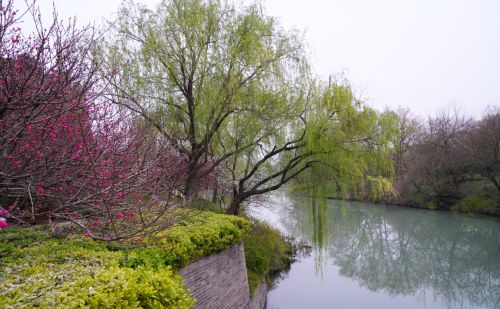 扬州有一个免费的公园，是4A景区，风景清幽，花开灿烂，游客很少