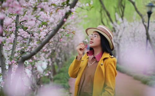 扬州有一个免费的公园，是4A景区，风景清幽，花开灿烂，游客很少