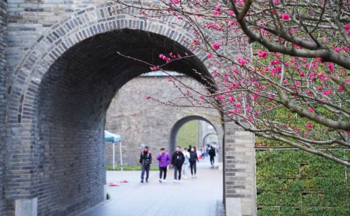 扬州有一个免费的公园，是4A景区，风景清幽，花开灿烂，游客很少