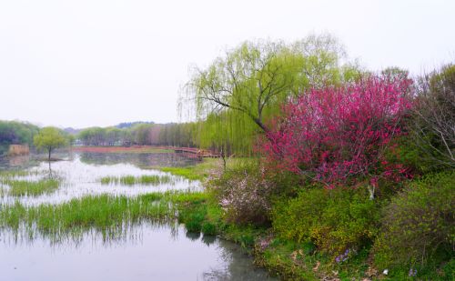 扬州有一个免费的公园，是4A景区，风景清幽，花开灿烂，游客很少