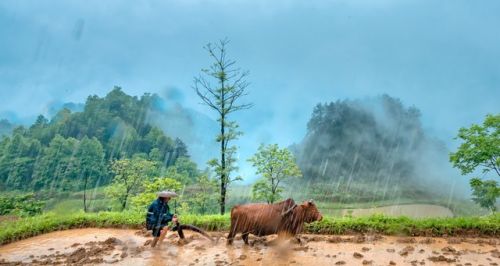 “是涝是旱，三月三早看天”，今天是三月三，夏季雨水多不多？