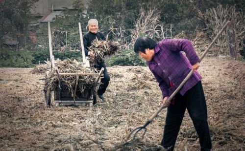 在农村，好多到了六七十岁的老人还每天努力地做农活，为了什么？