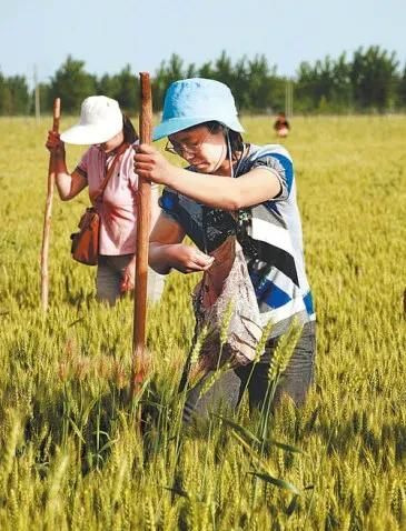 假如农村的地没人种了，以后城里人的粮食怎么供应？