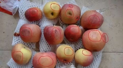 夫妻双双查出肝癌：竟是这种水果吃多了！很多水果摊超市有卖：沾一口都是伤害！