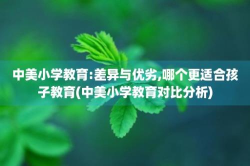 中美小学教育:差异与优劣,哪个更适合孩子教育(中美小学教育对比分析)