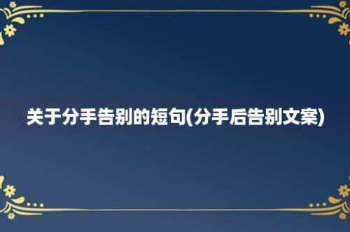 关于分手告别的短句(分手后告别文案)