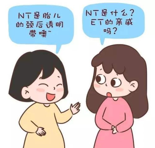 Nt检查和B超有什么区别？哪个更好？