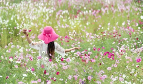 今日春分｜燕子归来，陌上花开，莫负人间好时光