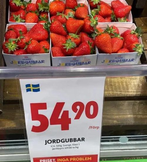 瑞典人的生活水平已经达到什么程度了？