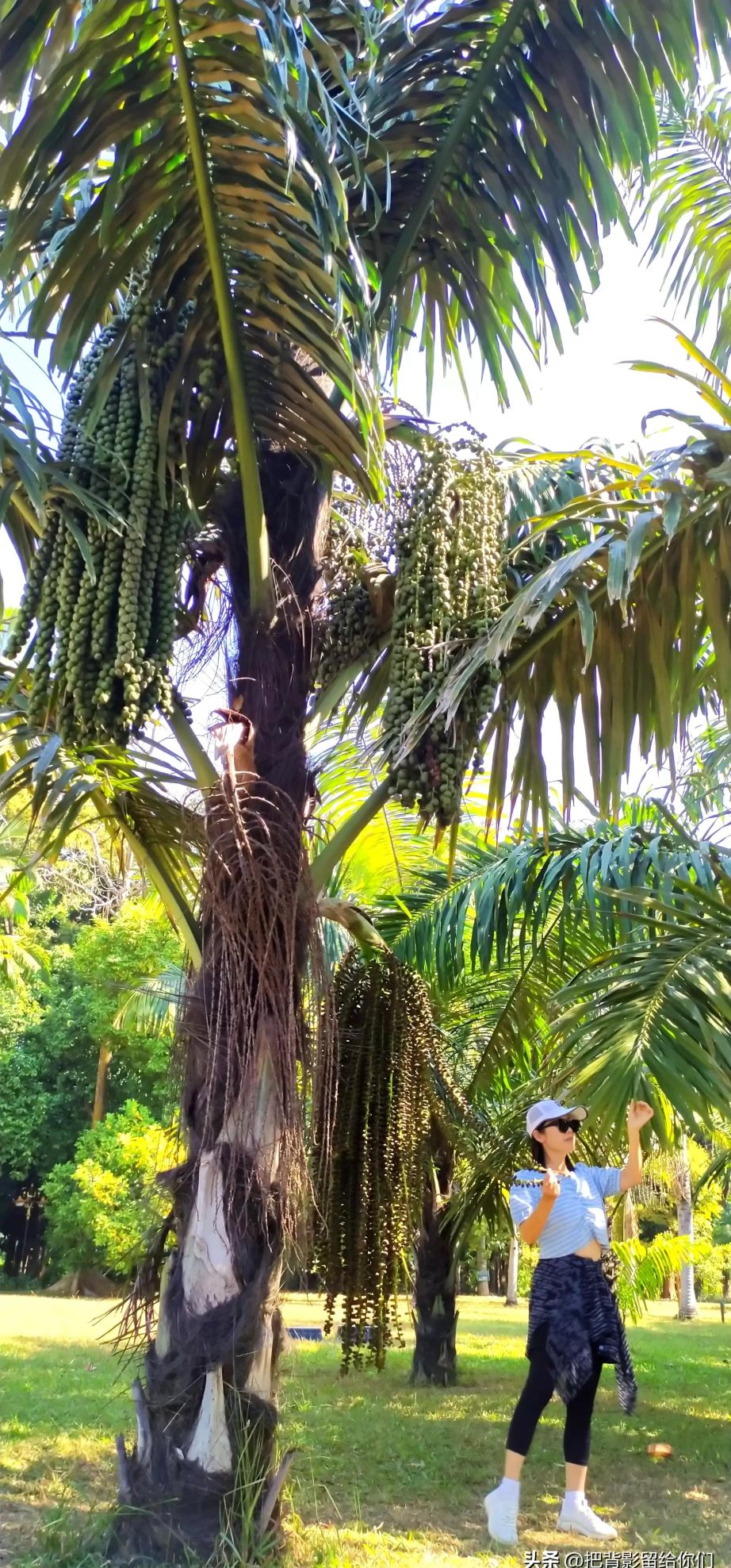 想去那种风景好，消费不是很高的南方旅居，哪个城市比较合适？