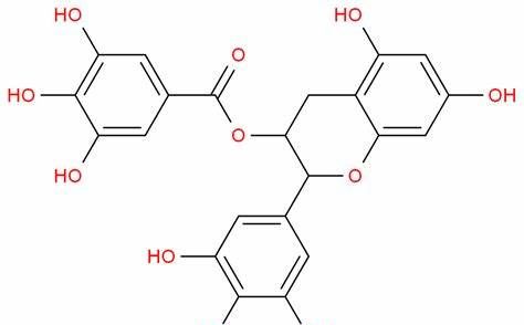 喝茶有什么用？喝什么茶好呢？