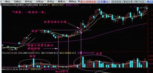 能谈谈炒股的酸甜苦辣吗？