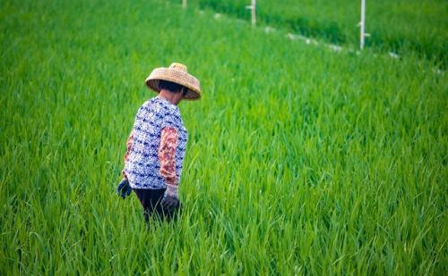 没有土地，农民种不出粮食；没有农民，别人照样种地，这话对吗？