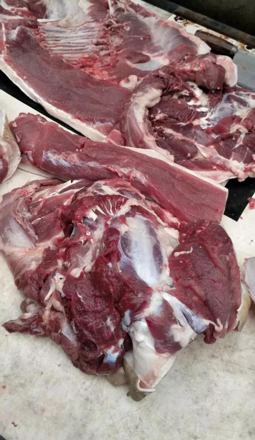 生猪价格失守7元，法国猪肉将大量进入中国，散养户还敢养猪吗？