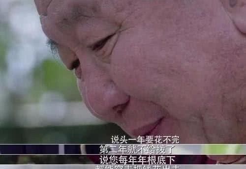 如果你是王多鱼，你会如何花掉十亿？