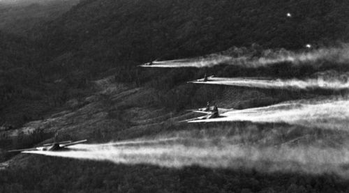 美国在越南战争时，在树林里大量喷洒枯叶剂，枯叶剂对当地民众有多大影响？