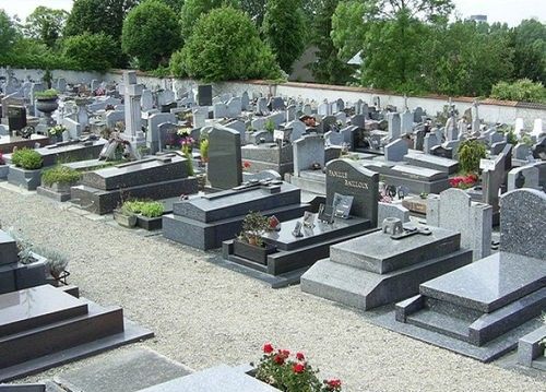 公墓只能使用20年，如果子孙不续费，会如何处理？
