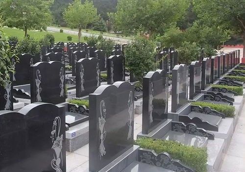 公墓只能使用20年，如果子孙不续费，会如何处理？