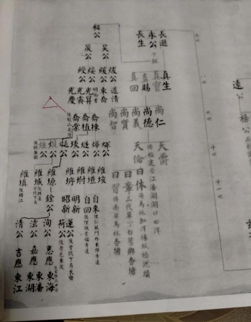 为什么中国人传统祠堂都写老祖宗是古代的皇族达官贵人，那些老百姓后裔呢？