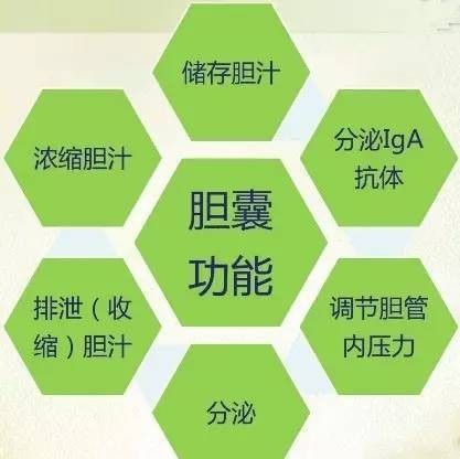 有什么治疗胆囊结石的方法推荐？