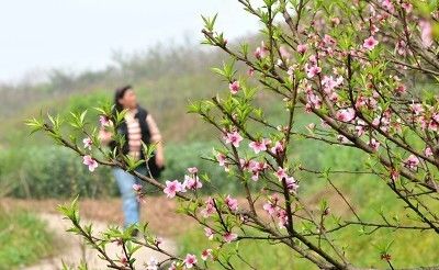 相声最后拼的是文化，为什么初中学历的郭德纲、岳云鹏、郭麒麟却比博士学历的人说的更好？