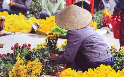 越南经济发展的上限在哪里？