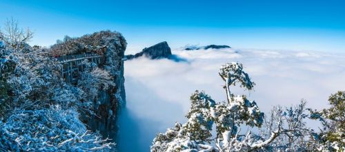 张家界天门山3男一女，四人一起跳崖自杀为哪般呀？